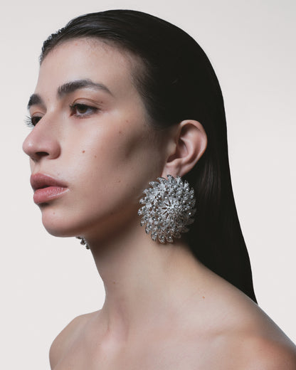 SILVERSTORM Earrings
