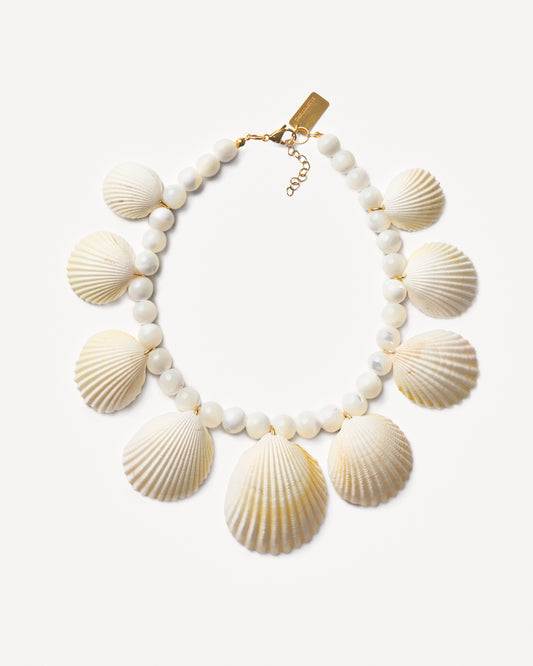 PURE SHELL Necklace